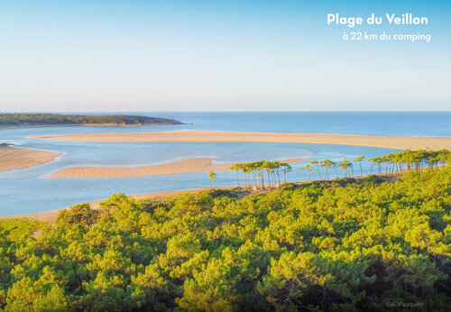 Playa de Veillon, estuario y bosque de pinos, un lugar para visitar en Vend�e.