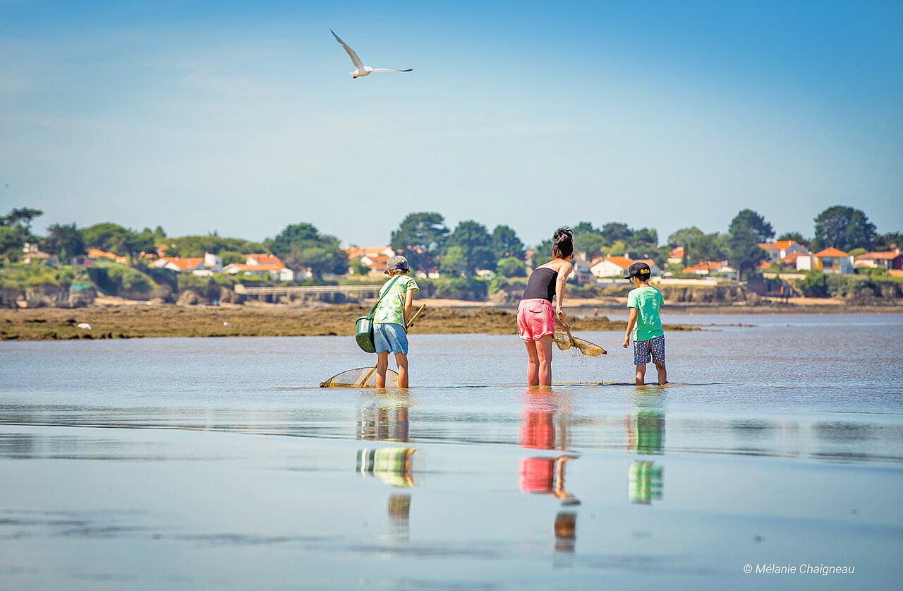 Familia pescando con redes en la playa del camping CAPFUN Madrague en PORNIC (44).