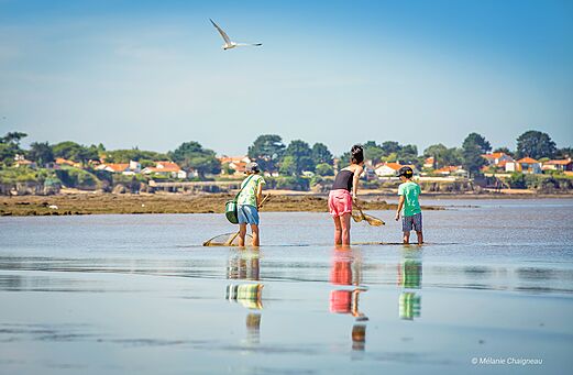 Familia pescando con redes en la playa del camping CAPFUN Madrague en PORNIC (44).