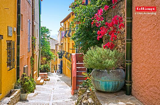 Encantadora calle florida y colorida en Collioure, pueblo t�pico de los Pirineos Orientales.