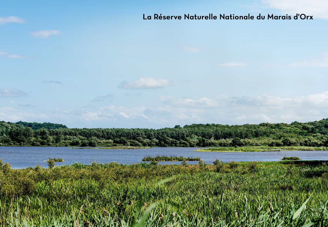 Reserva Natural Nacional del Marais d'Orx, un lugar natural para visitar en Nueva Aquitania.