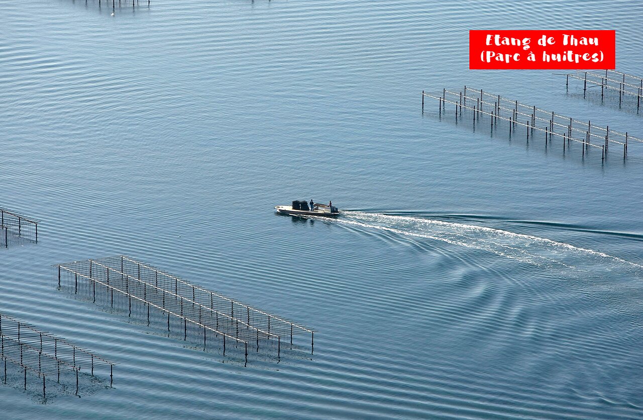 Barco navegando entre parques de ostras del Etang de Thau, Occitania.