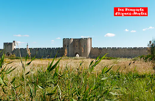 Camping Mille Ppites , Camping Languedoc Roussillon Camping Mille Ppites , Camping Languedoc Roussillon