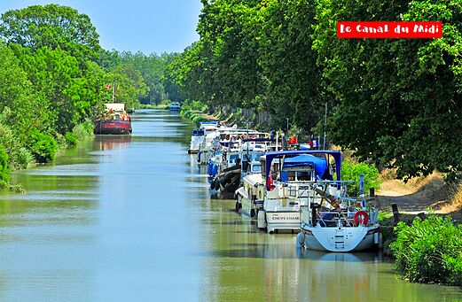 Barcos navegando por el Canal du Midi, bordeado de árboles, cerca de Carnon (34).