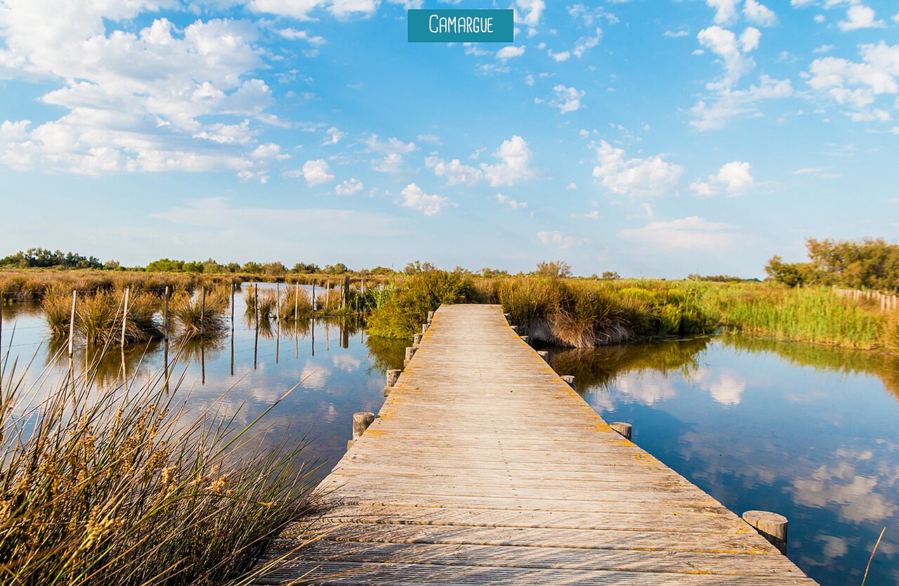 Pasarela de madera en los pantanos de Camargue, lugar para visitar cerca de Vauvert (30).