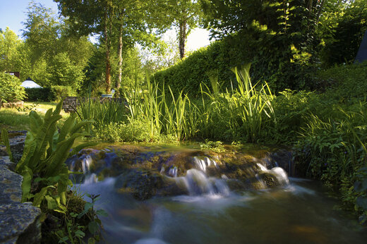 Arroyo natural, cascada, vegetación en el camping CLICOCHIC Moulin du Roch en Saint Andre D'Allas (24).