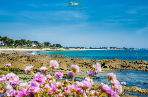 Playa de arena fina y costa rocosa en Carnac, Morbihan, Bretaña.