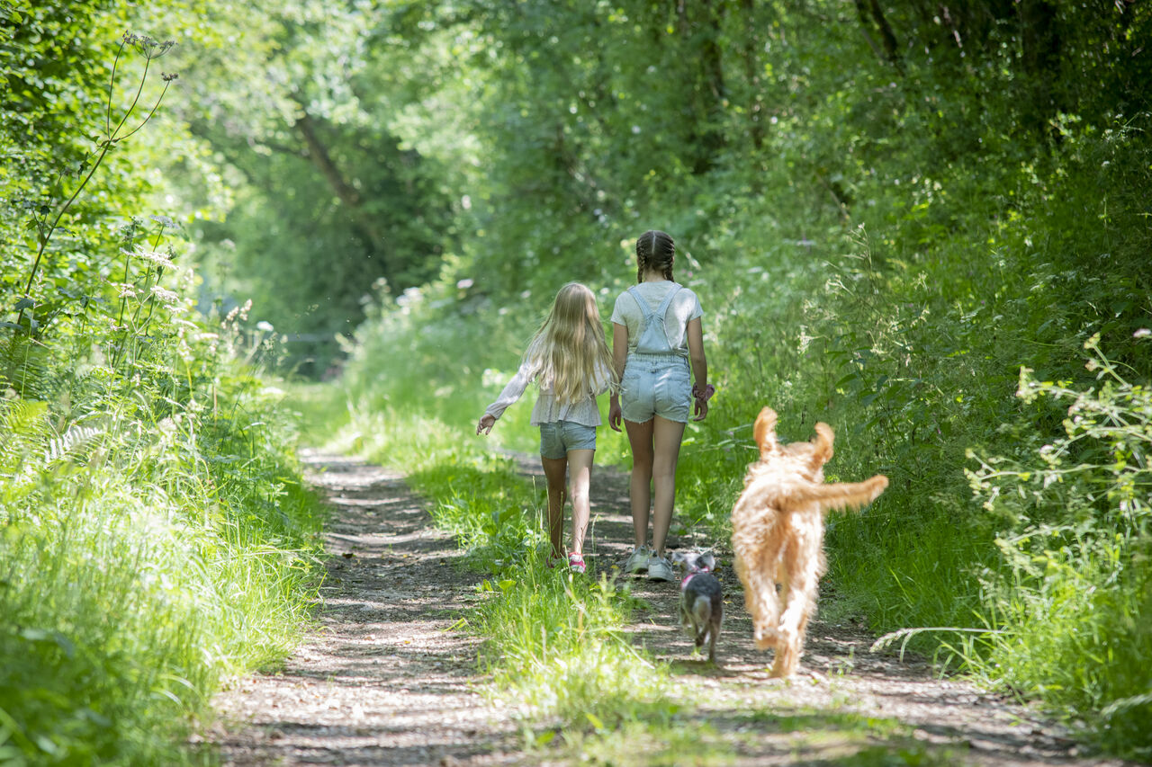 Ni�os y perros en sendero natural en el camping CAPFUN UK Otter Falls en Upottery Nr Honiton.