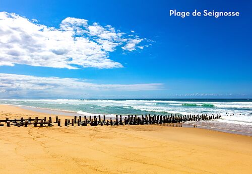 Playa de Seignosse con espigones de madera, lugar para visitar cerca del camping.