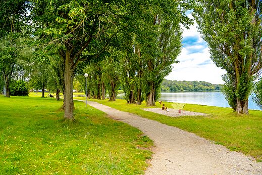 Naturaleza, juegos en el camping CAPFUN Palais de Gaufrette en R�mering les Puttelange (57).
