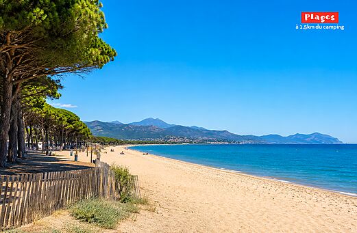 Playa de arena y pinos en el camping CAPFUN Paris Roussillon en ARGELES SUR MER (66).