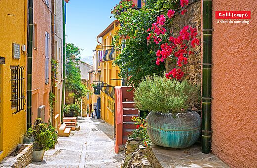 Calle colorida y florida en Collioure, pueblo pintoresco de los Pirineos Orientales.