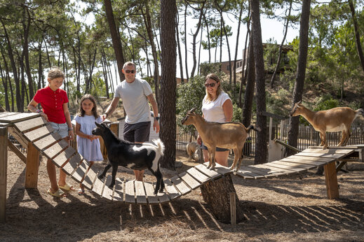 Familia e hijos acariciando cabras en la mini-granja del camping CLICOCHIC Petit Bec en St Hilaire de Riez (85).