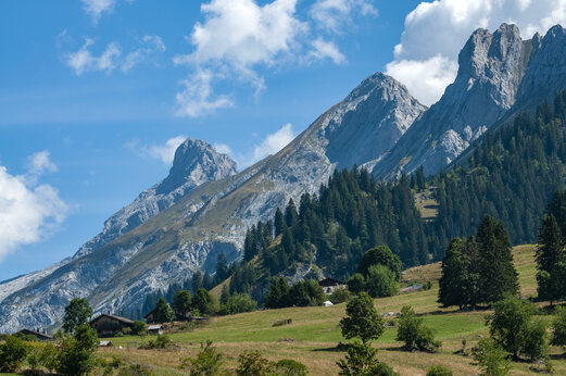 Montañas rocosas, bosques alpinos en el camping CAPFUN Plan du Fernuy, LA CLUSAZ.