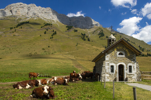 Capilla de montaña de piedra con vacas, paisaje alpino cerca de La Clusaz.