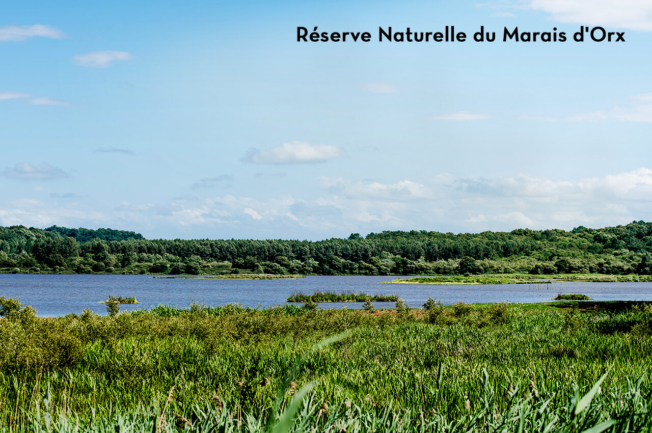 Reserva Natural del Marais d'Orx, lugar para visitar cerca de Saubion.