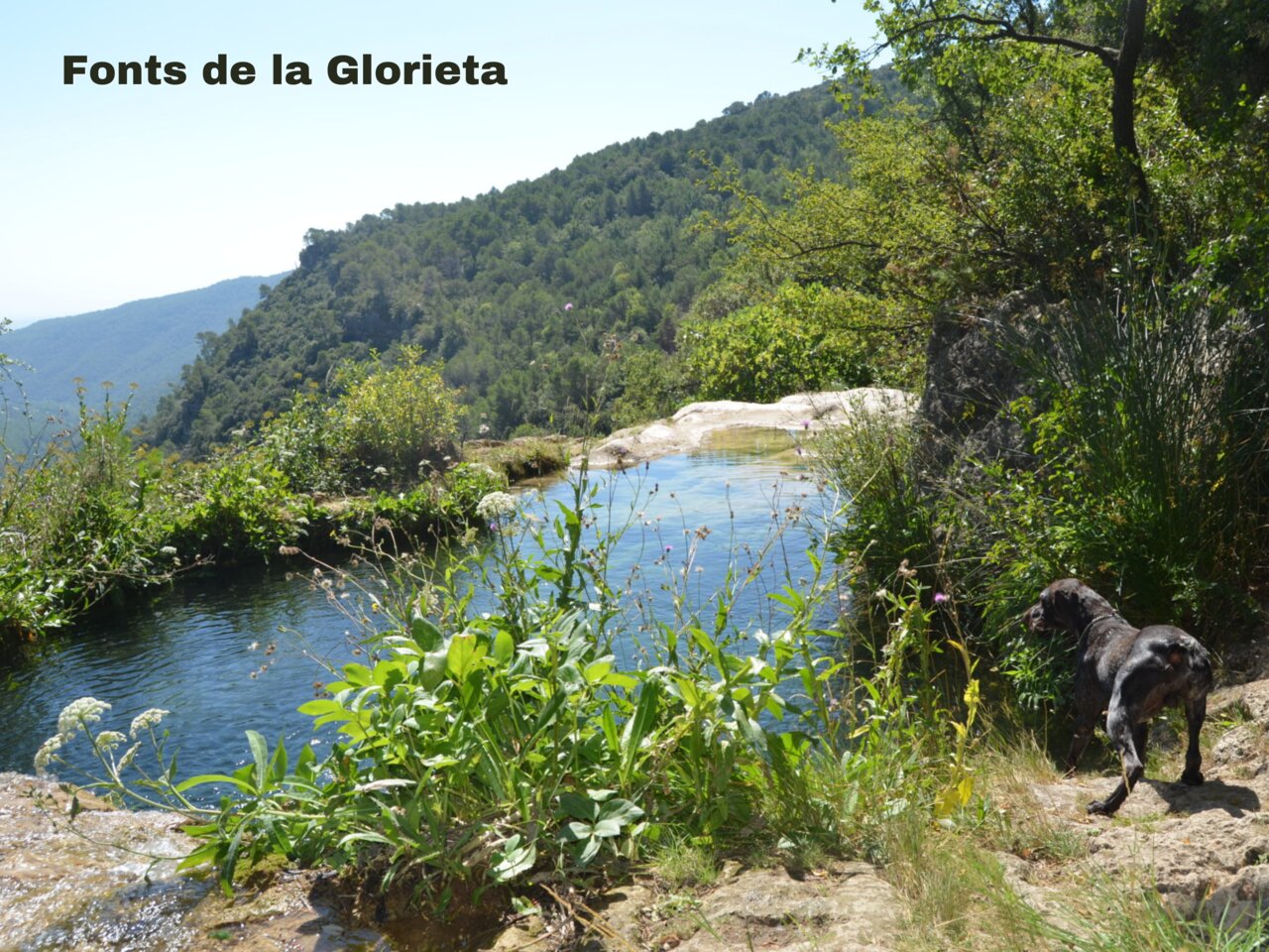 Piscinas naturales de Fonts de la Glorieta, paisaje monta�oso cerca de Vilanova de Prades.