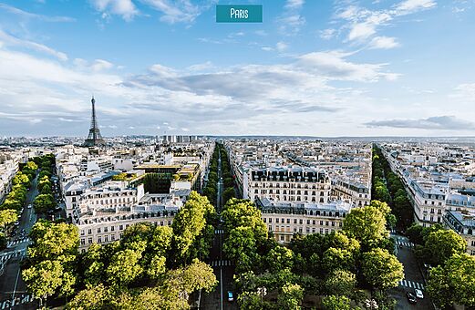 Vista aérea de París con la Torre Eiffel y una avenida arbolada.