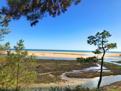 Playa, estuario y mar en el camping CAPFUN Prises, La TRANCHE SUR MER.