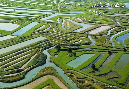 Marismas de Ol�ron desde el cielo, paisaje natural cerca de Saint-Georges-d'Ol�ron.