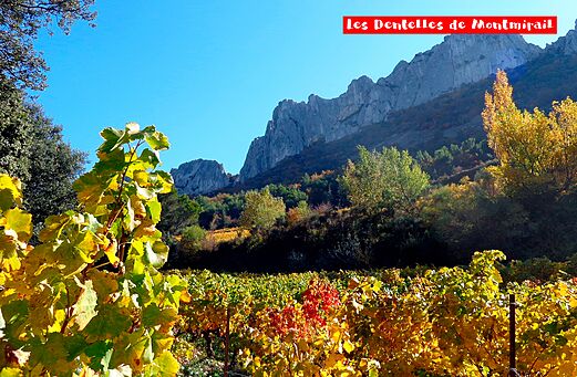 Les Dentelles de Montmirail, vi�edos coloridos en oto�o, cerca de Vinsobres en Dr�me.