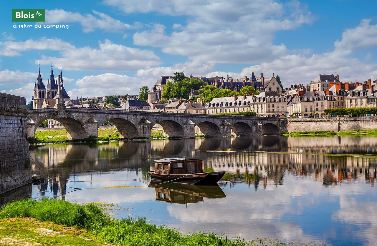 Puente hist�rico sobre el Loira, castillo de Blois, ciudad pintoresca del Valle del Loira.