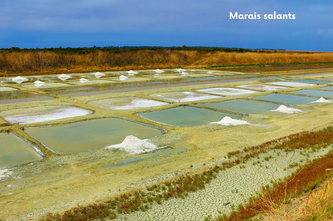 Salinas con montones de sal, lugar para visitar cerca de Saint-Denis-d'Ol�ron (17).
