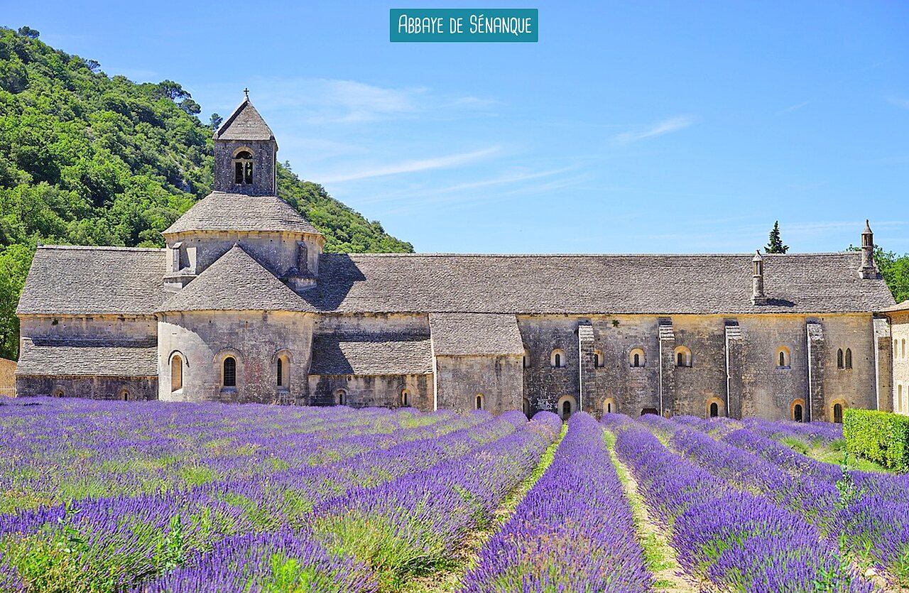 Abad�a de S�nanque con campos de lavanda, lugar para visitar en Provenza.