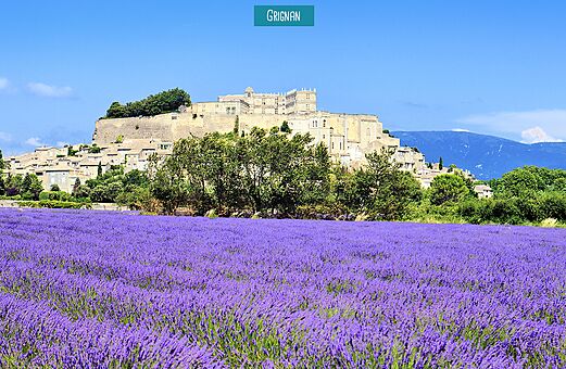 Campo de lavanda en flor y castillo de Grignan, pueblo para visitar en Dr�me Proven�ale.
