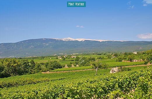 Mont Ventoux, lugar emblem�tico para visitar cerca del camping en Provenza.