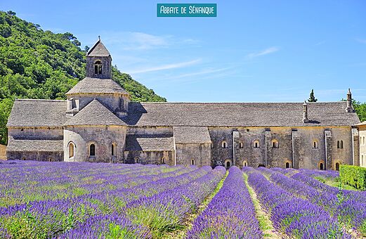Abadía de Sénanque y campos de lavanda, lugar para visitar en Provenza.