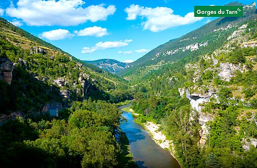 Gargantas del Tarn, paisaje natural espectacular con río y acantilados verdes.