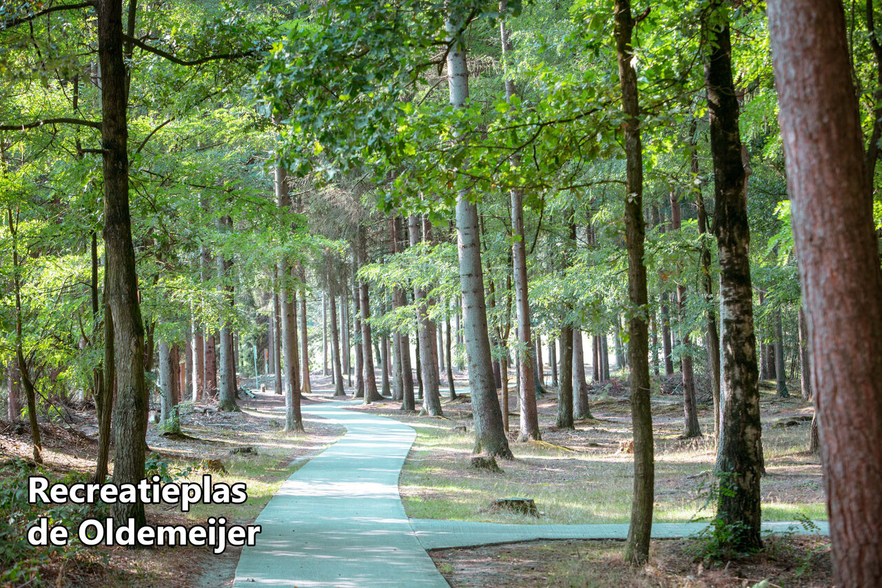 Sendero serpenteante en el bosque hacia Recreatieplas de Oldemeijer, cerca de Rheeze.