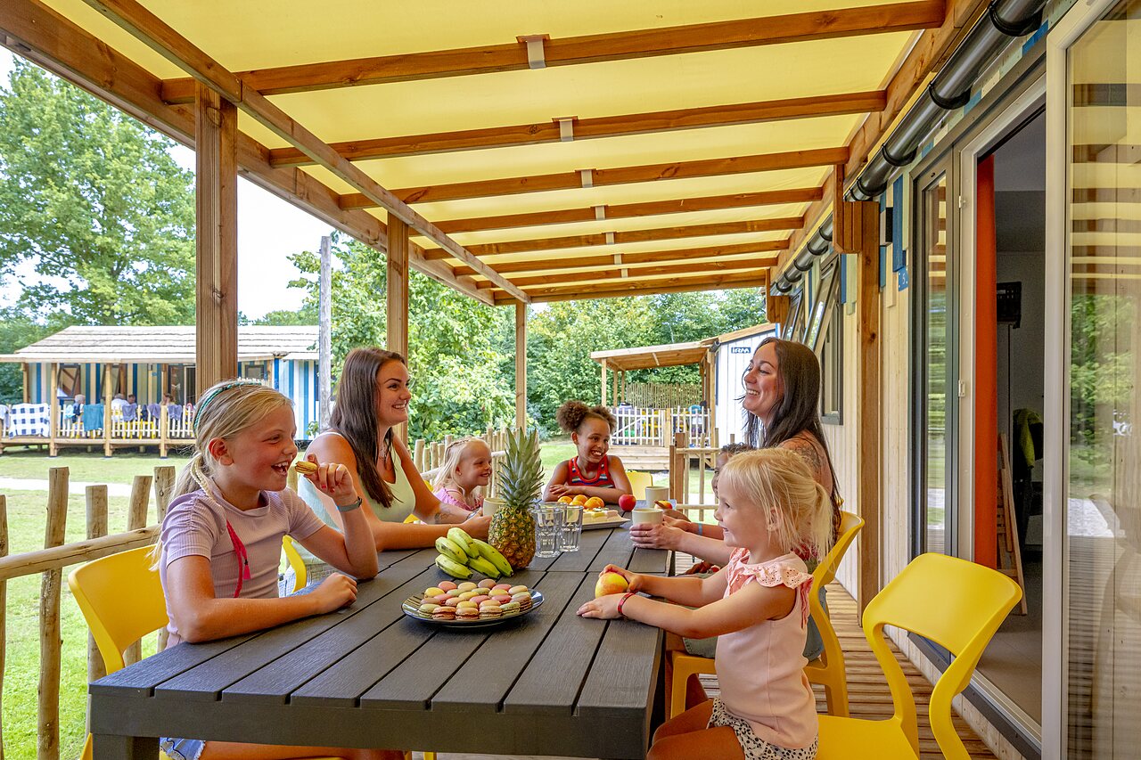Stoetenslagh, Camping Overijssel - 35