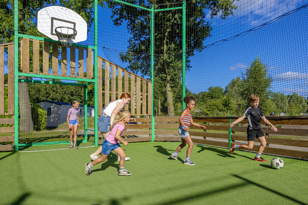 Stoetenslagh, Camping Overijssel - 36