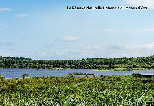 Reserva Natural Nacional de Orx, lugar para visitar cerca de Labenne.