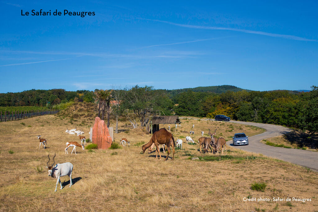 Le Temps Libre, Campingplatz Rhone Alpes - 15