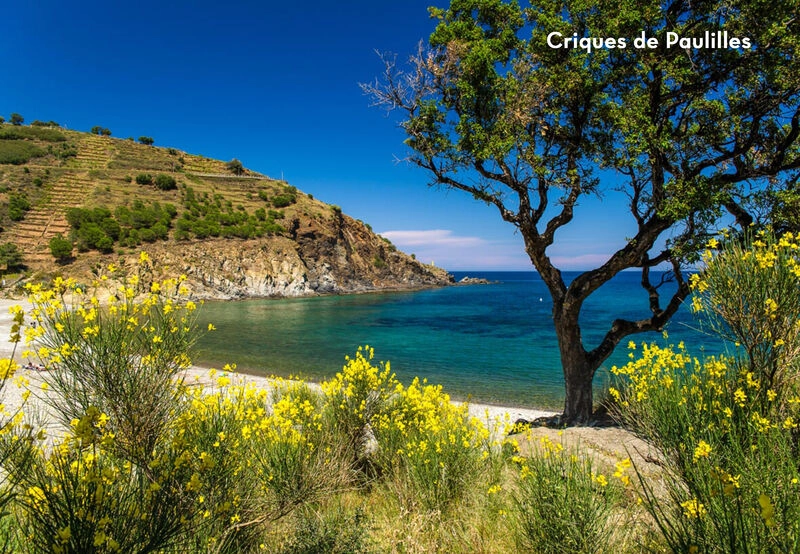 Camping Texas, Camping Languedoc Roussillon - 2