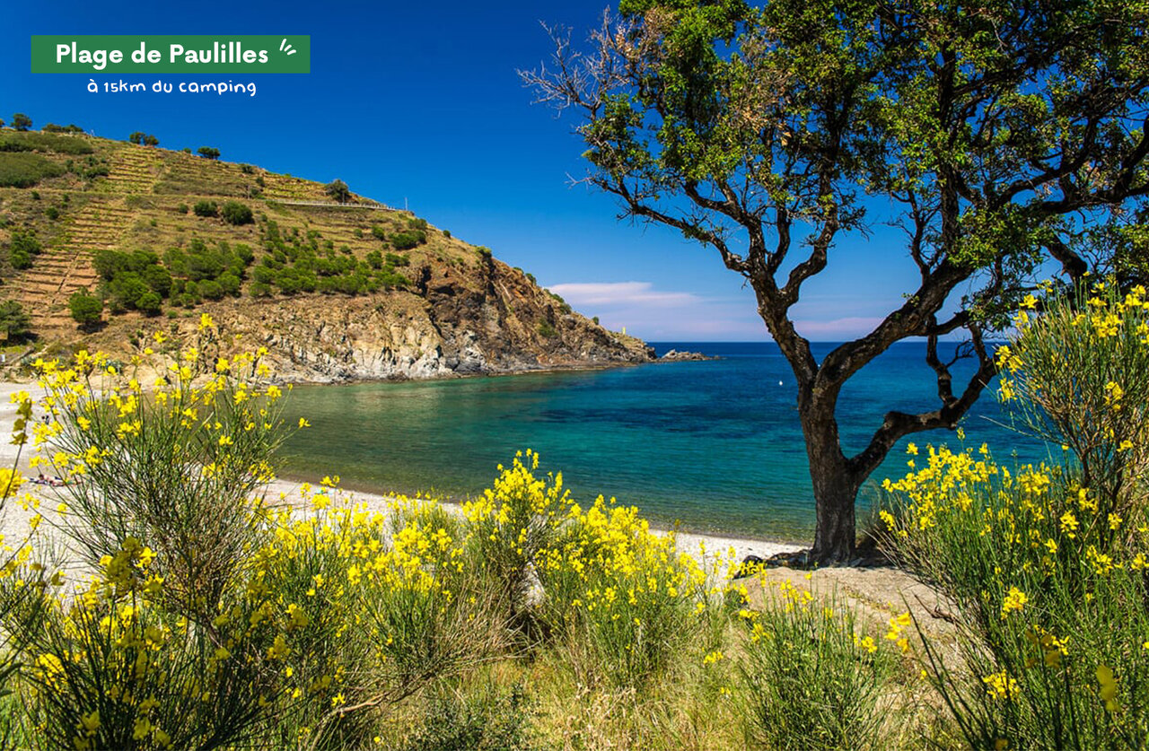 Playa de Paulilles, cala mediterr�nea con aguas turquesas, Pirineos Orientales.