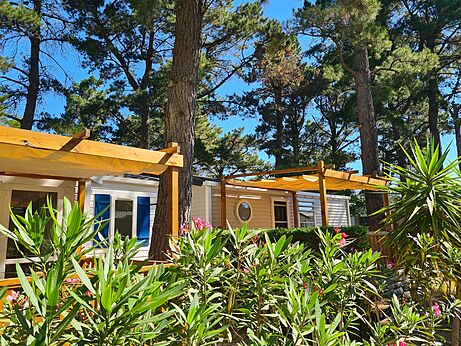 Mobil-home moderno con terraza sombreada y pinos en el camping CLICOCHIC Texas Argelès.