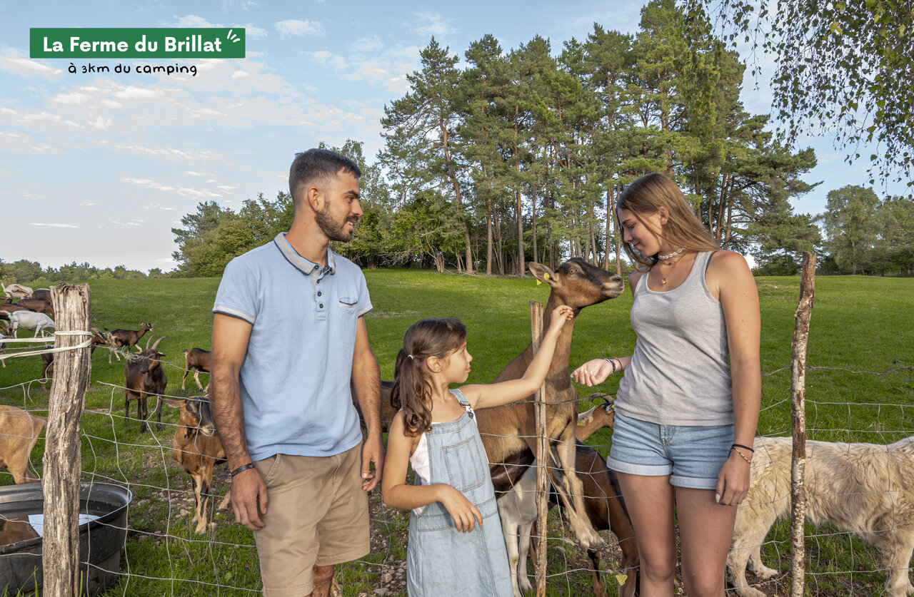 Familia alimentando cabras en La Ferme du Brillat, lugar para visitar cerca del camping.