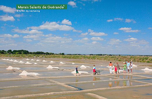 Marismas de Guérande con visitantes, una actividad cerca de Pornichet (44).