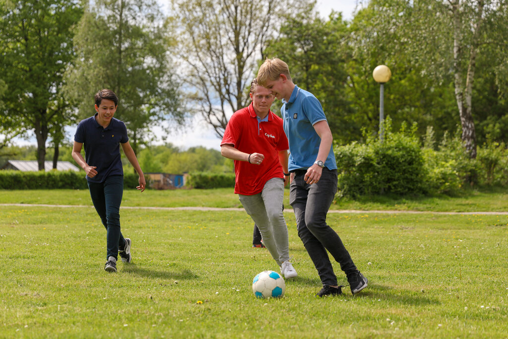 Vlinderloo, Camping Overijssel - 19