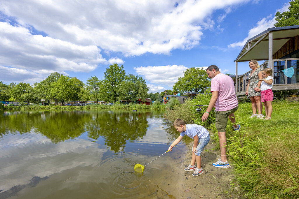 Vlinderloo, Camping Overijssel - 33