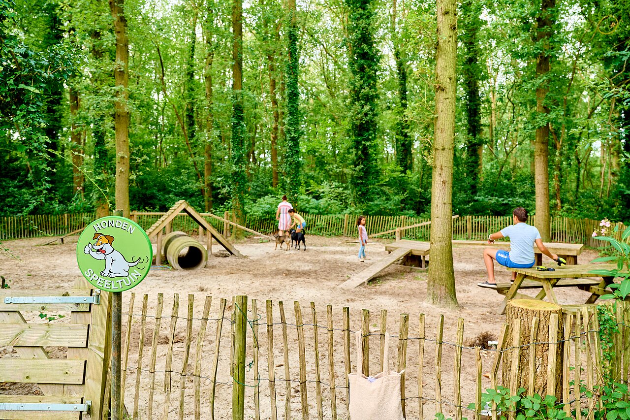 Parque de juegos para perros con equipos de agilidad en camping CAPFUN De Waldsang.