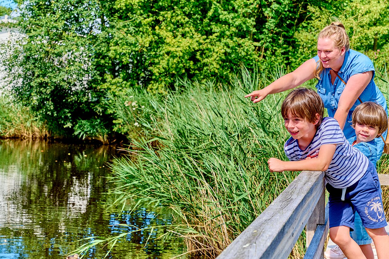 Familia observando la naturaleza junto al agua en el camping CAPFUN De Waldsang en Bakkeveen.