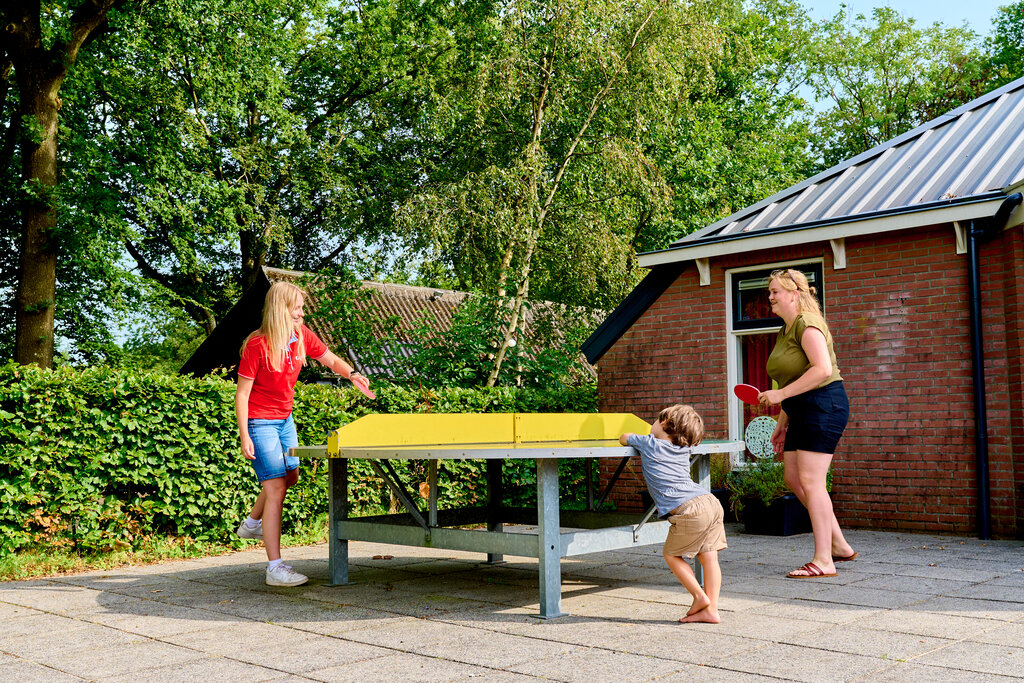 De Waldsang, Camping Friesland - 19