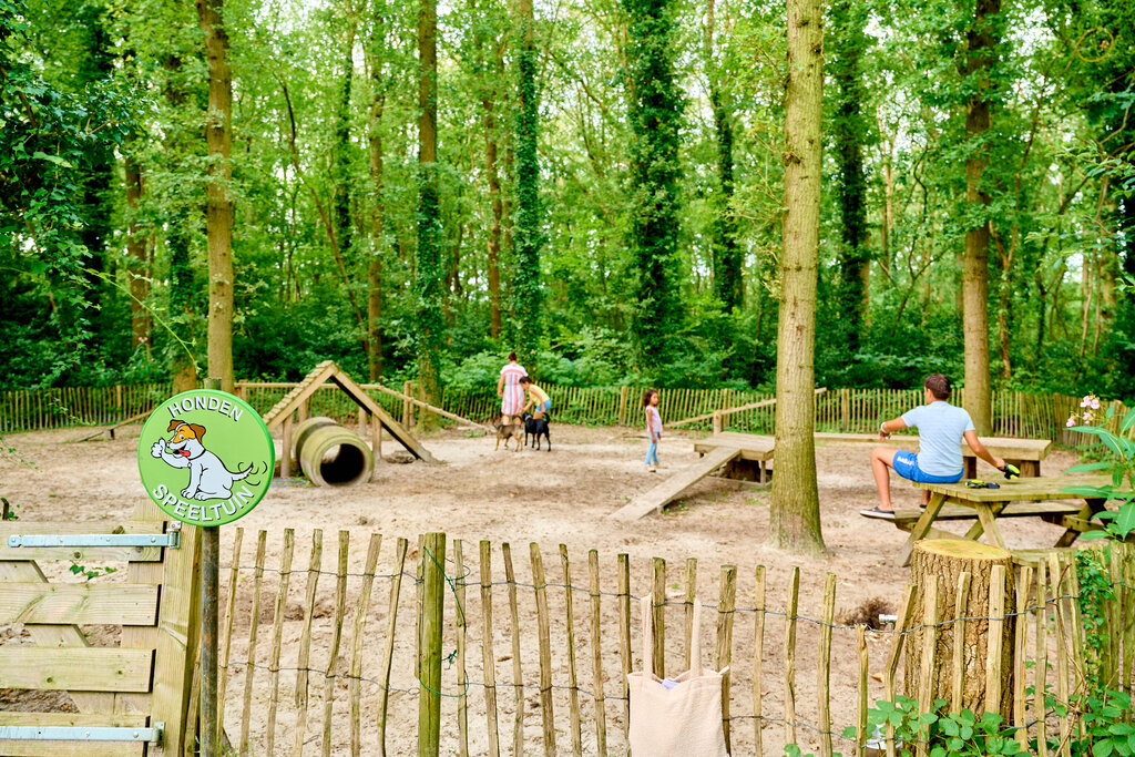 De Waldsang, Camping Friesland - 25