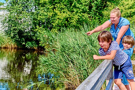 Familia observando la naturaleza y el agua en el camping CAPFUN De Waldsang en Bakkeveen.