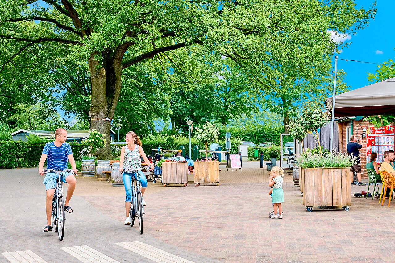 Pareja en bicicleta por sendero verde en camping CAPFUN Wieskamp, Winterswijk Henxel.